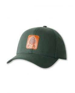 Stio Pine Arc Snap Back