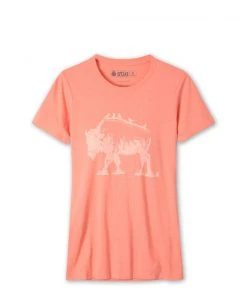 Stio Women's Bison Perch Tee